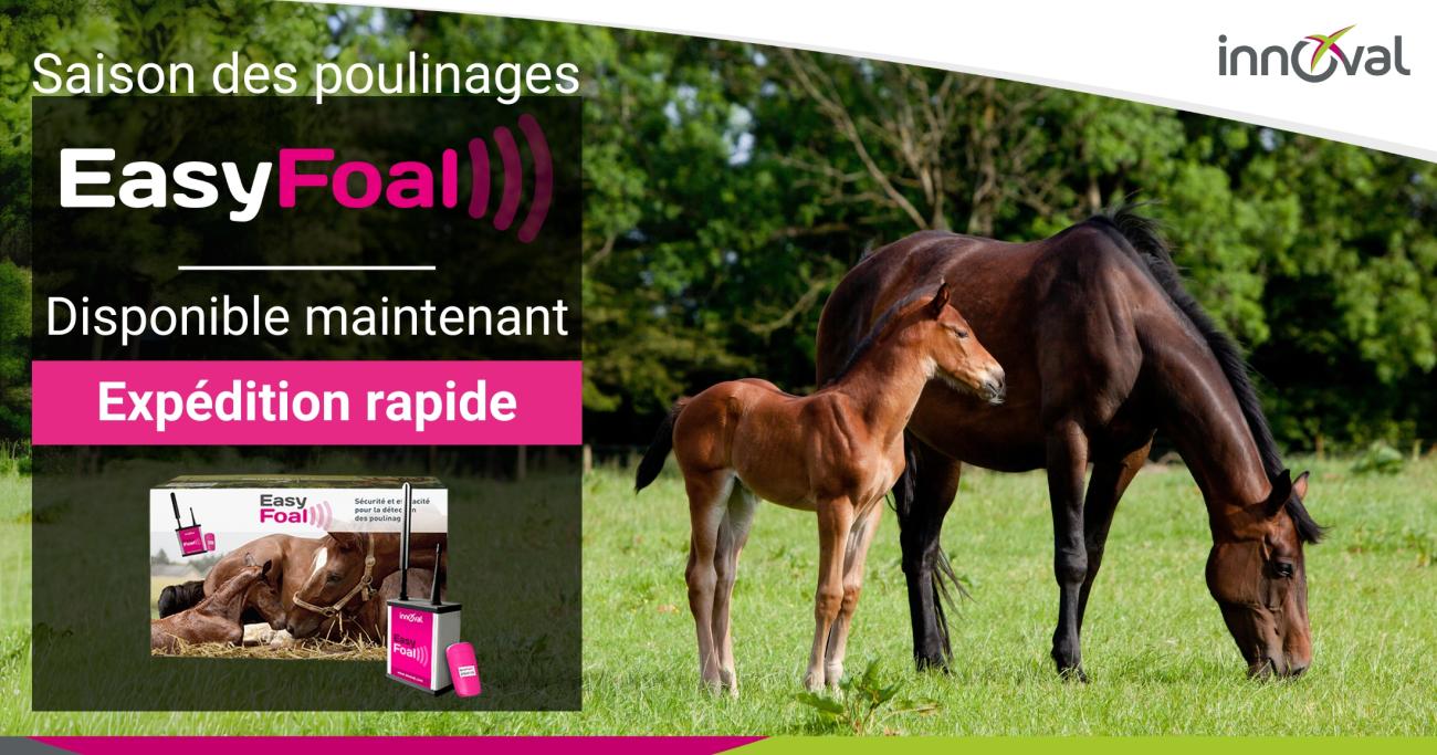 EasyFoal : c’est le moment, anticipez et passez commande